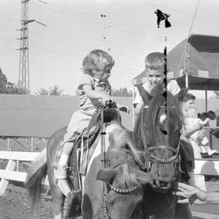 Children on horses near a covered platform.