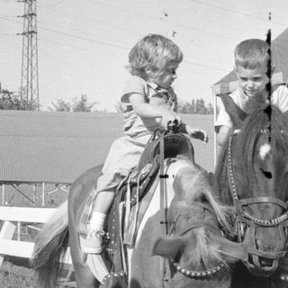 Children on horses near a covered platform.