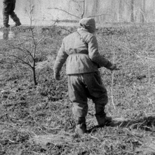 Two people in a flooded field with bare trees.