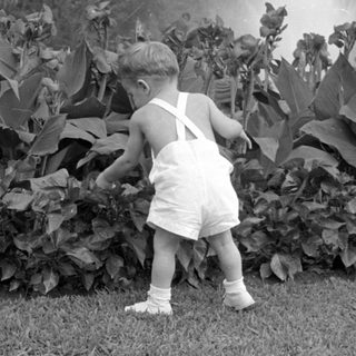 Child in white overalls standing by garden plants.