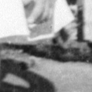 Young girl in a dress standing by a bush.