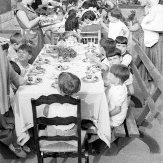 Outdoor meal with adults and children under palm tree.