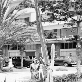 Woman standing by a cactus with vintage cars.