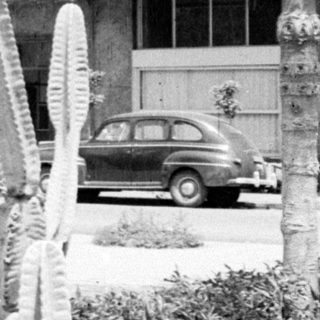 Woman standing by a cactus with vintage cars.