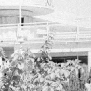 Person leaning out of a window in black and white.