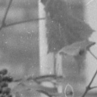 Woman in striped swimsuit reclining under a trellis.