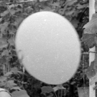 Group of people at an outdoor table with a balloon.